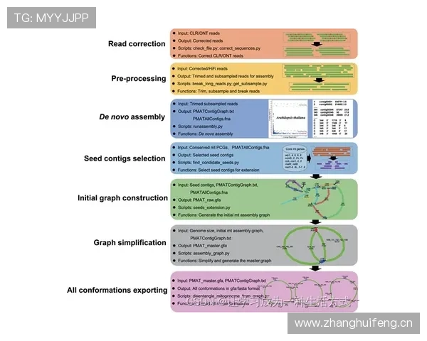 帕尔默：数据高效源于体系适配还是个人能力？