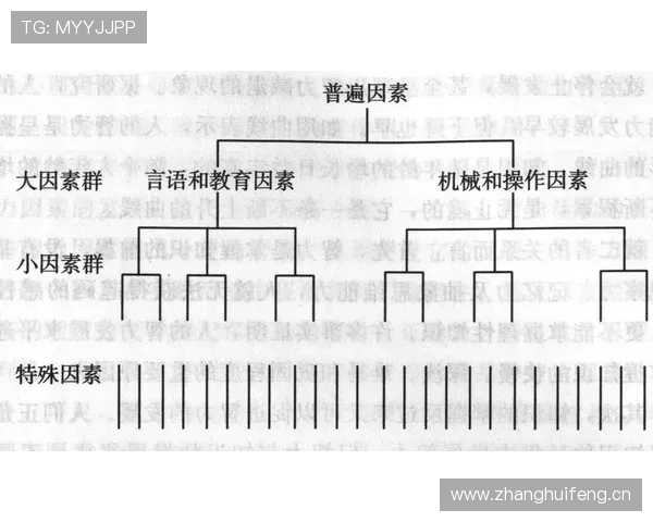 杜埃战术价值：体系依赖与个人能力的结构性解析